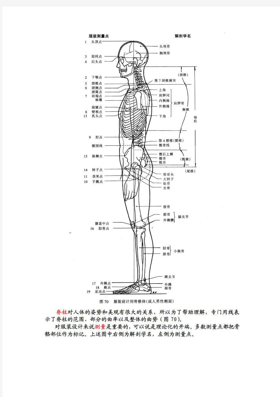 第一章__服装设计中的人体结构特征