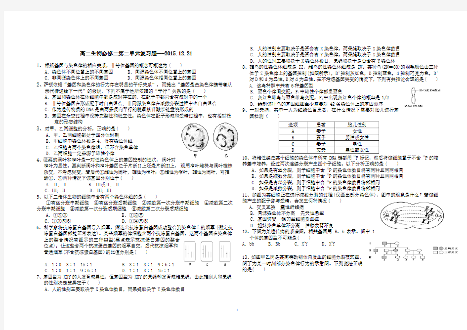 高中生物必修二第二单元测试题