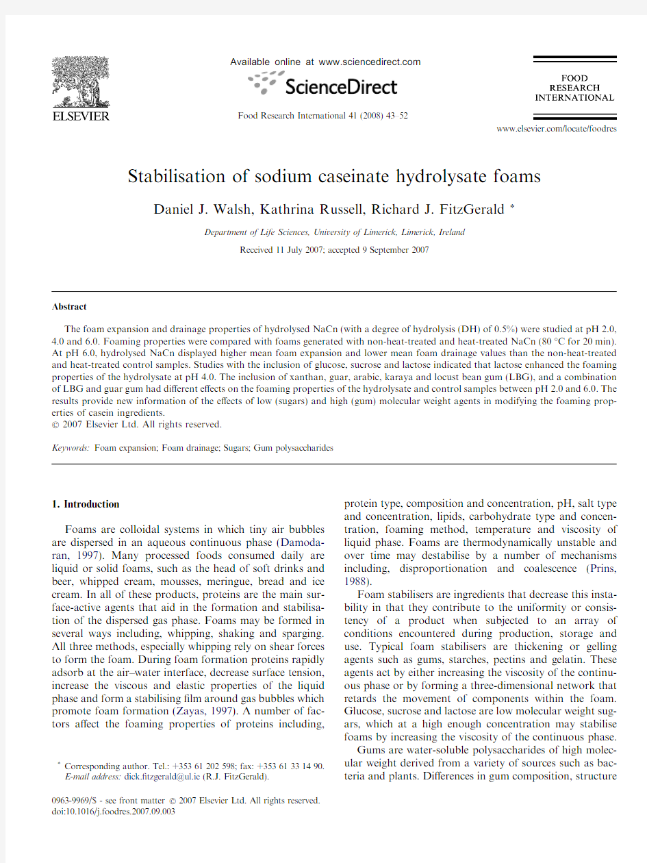 Stabilisation of sodium caseinate hydrolysate foams