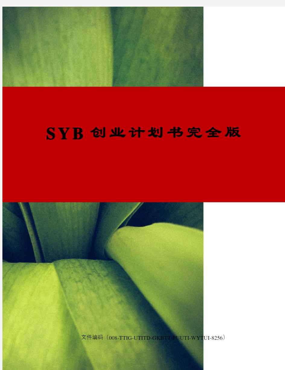 SYB创业计划书完全版