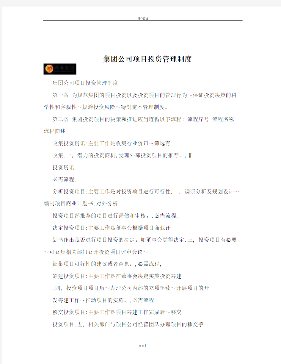 集团公司项目投资管理制度