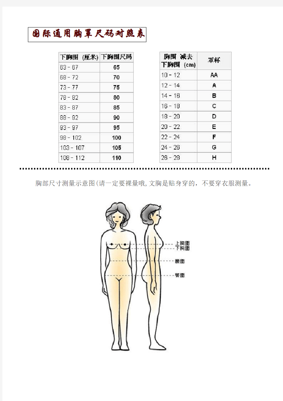 国际通用胸罩尺码对照表-及其他(DOC)