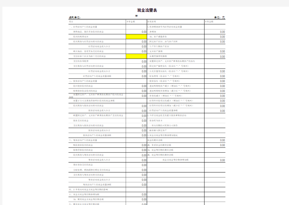 现金流量表模板2020