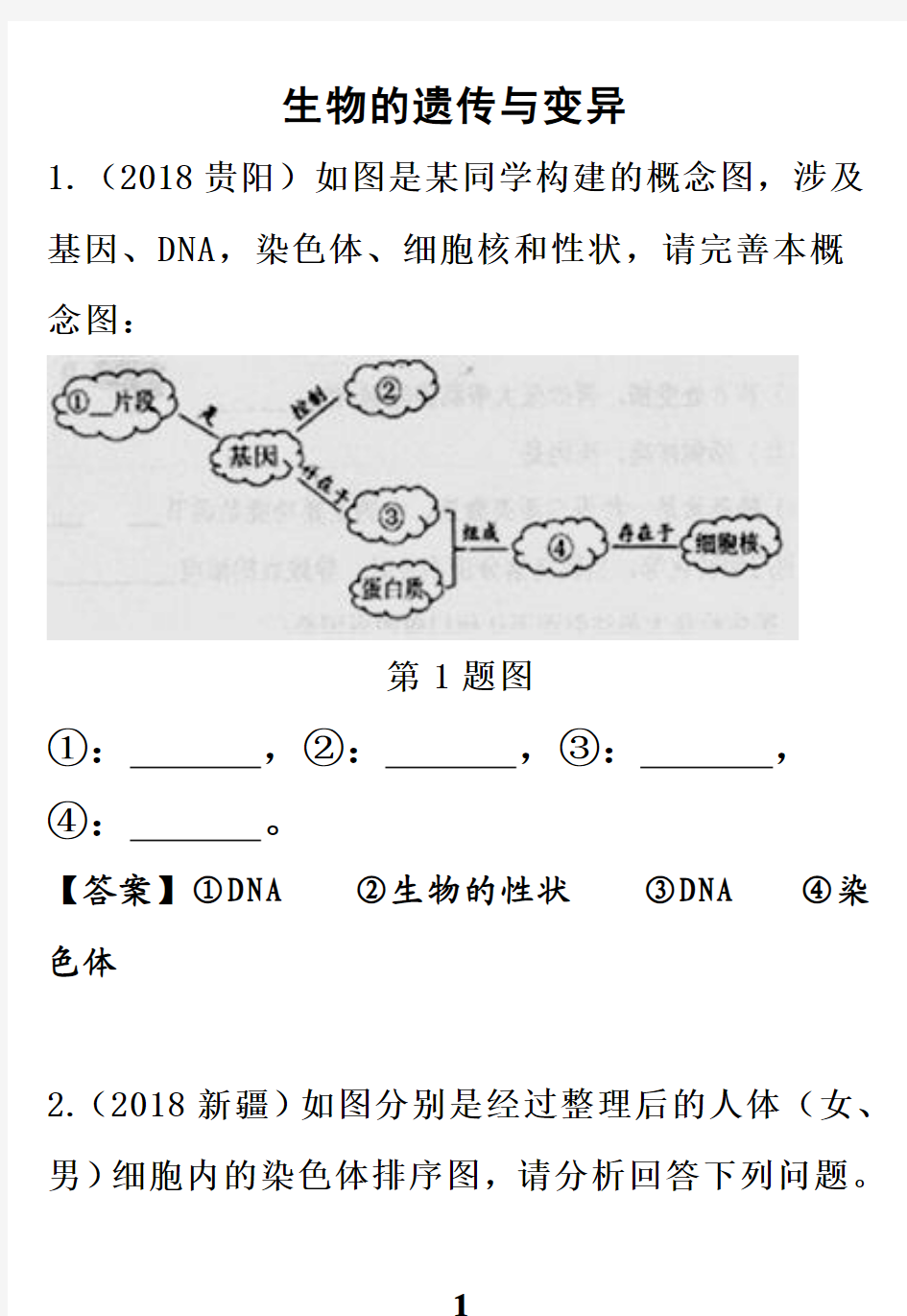 生物的遗传与变异