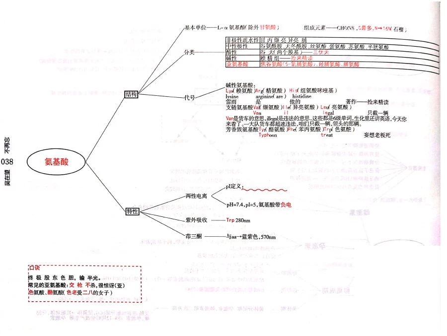 生化思维导图(Wu2)