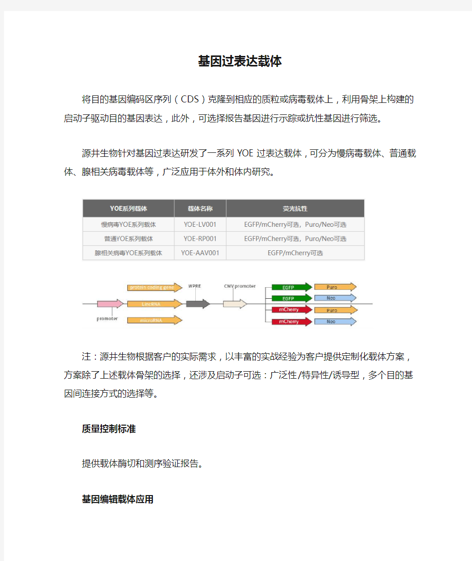 基因过表达载体流程图解