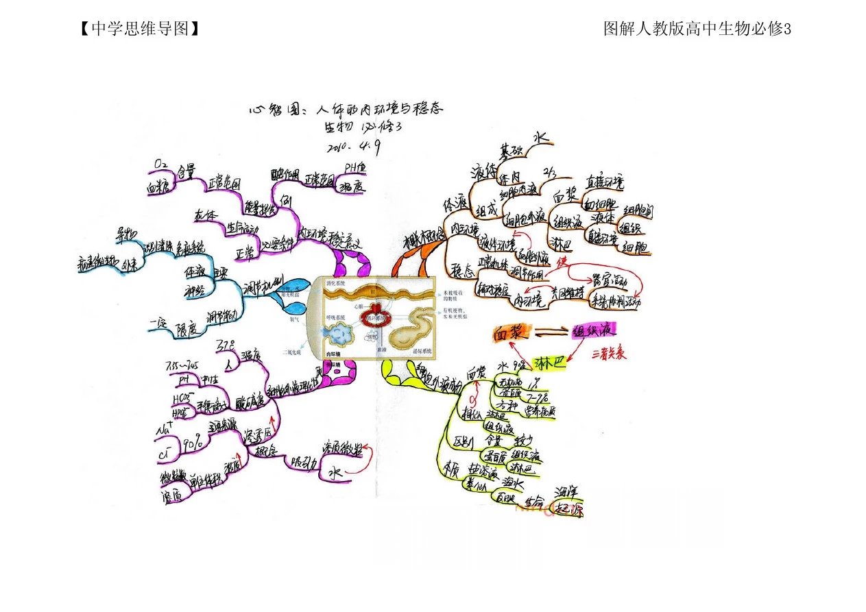 【中学思维导图】图解人教版高中生物必修3