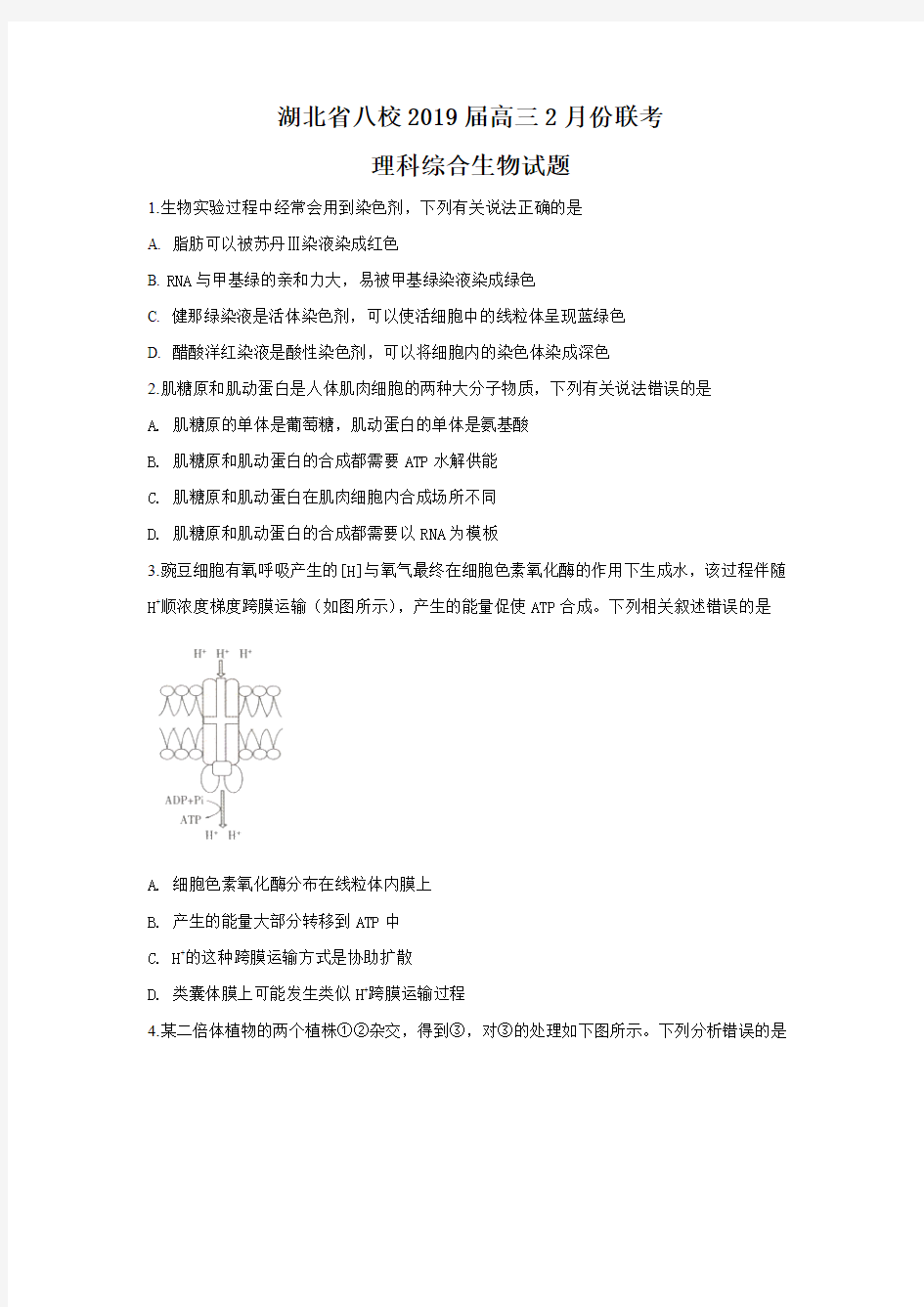 湖北省八校2019届高三上学期12月第一次联考理科综合生物试题