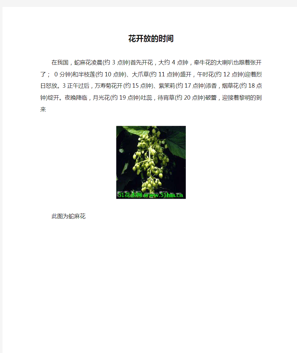 花开放的时间