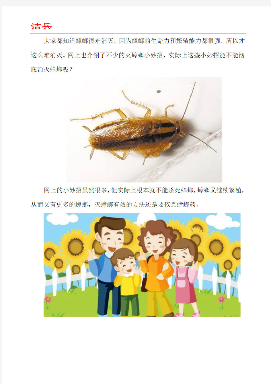 怎么样消灭蟑螂有效小妙招