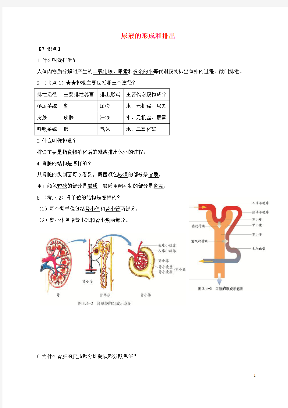 七年级生物下册 第四章第一节尿液的形成和排出知识点巩固提高济南版