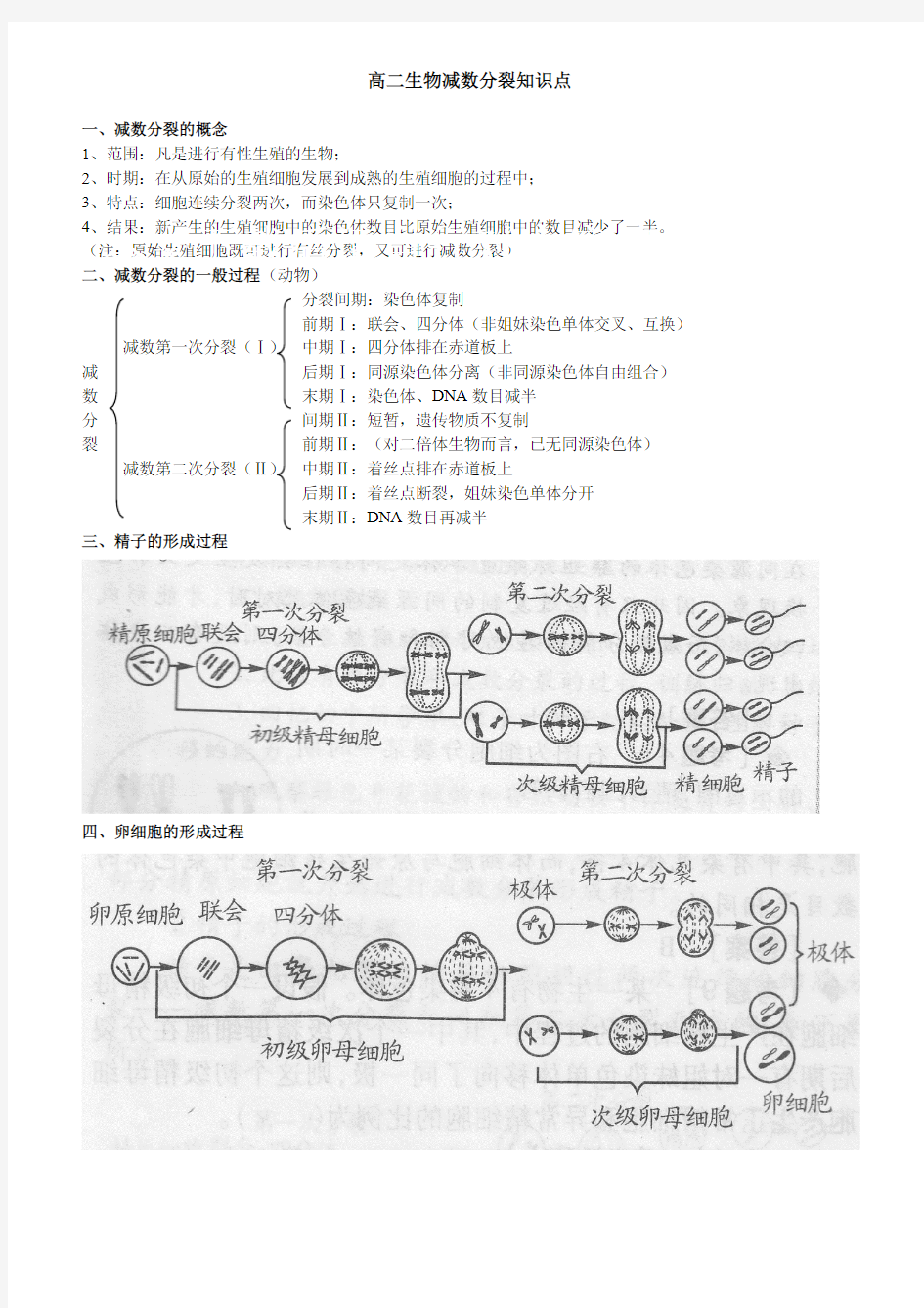 (完整)减数分裂知识点总结,推荐文档