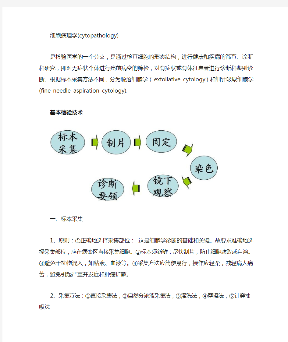 脱落细胞学(细胞病理学)整理,上节(修正版)