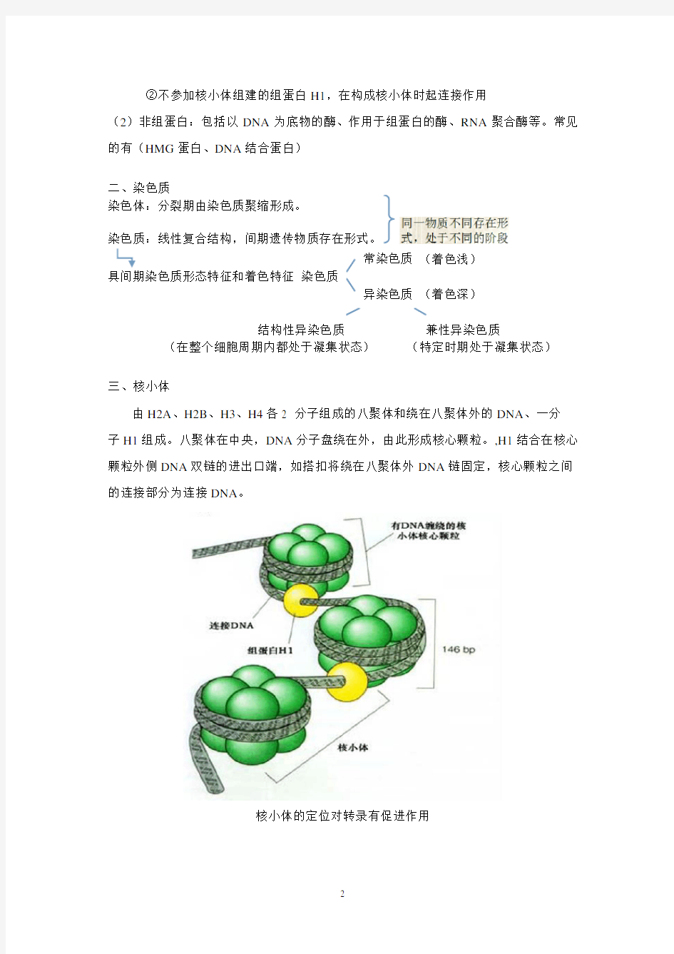 分子生物学总结(朱玉贤版)(2020年10月整理).pdf