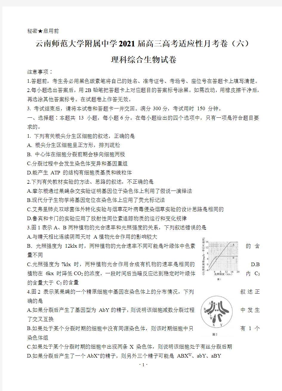云南师范大学附属中学2021届高三高考适应性月考卷(六)理综生物