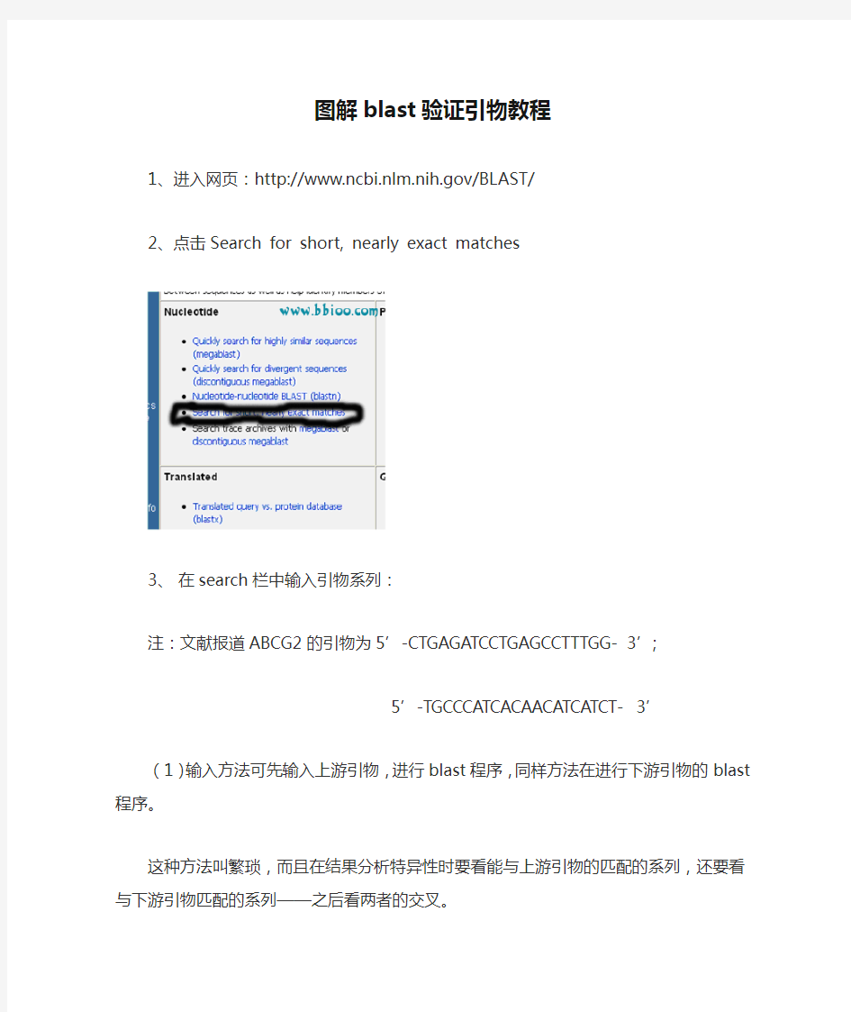 图解blast验证引物教程
