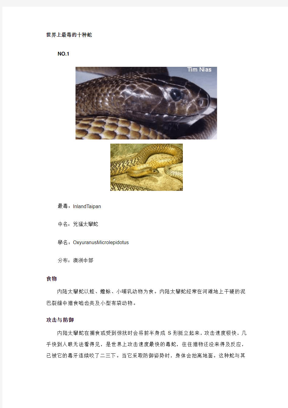世界上最毒的十种蛇 毒蛇世界 毒蛇图片