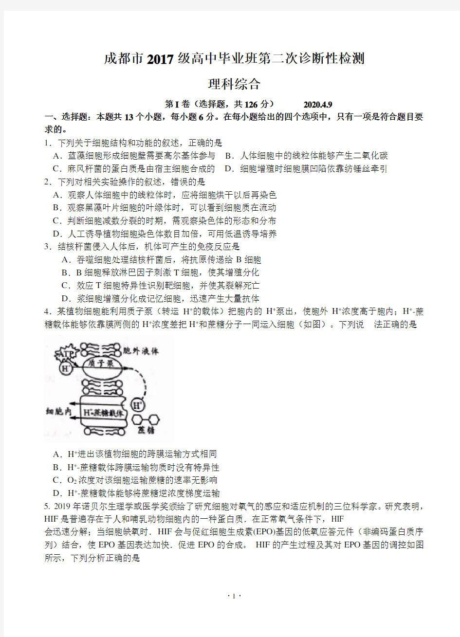 四川省成都市2020届高三下学期第二次诊断考试 理科综合