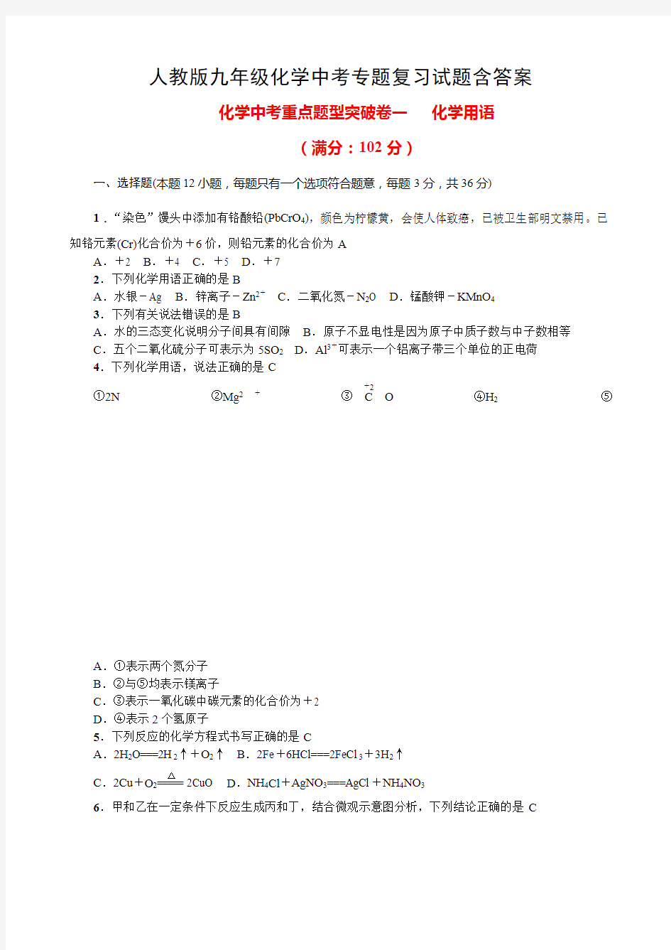 人教版九年级化学中考专题复习试题含答案