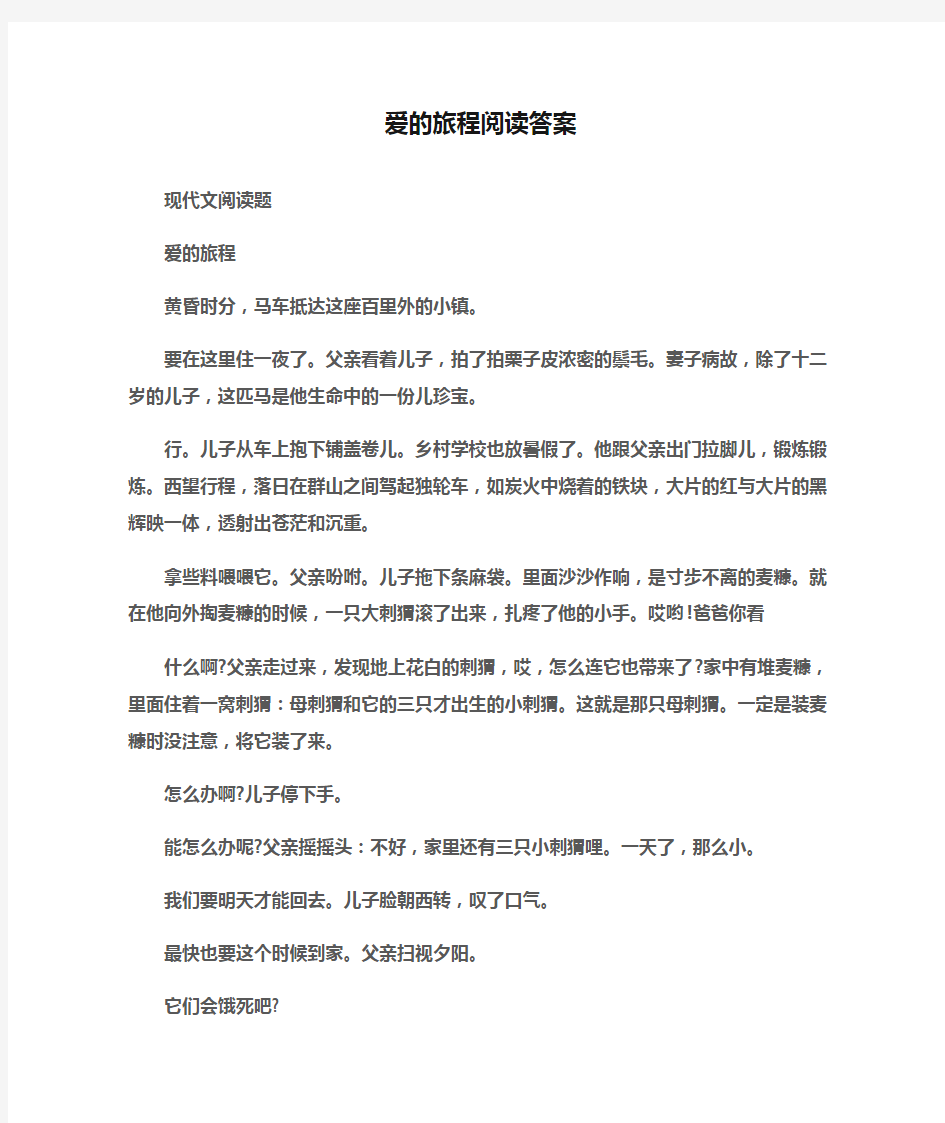 (现代文阅读题)爱的旅程阅读答案