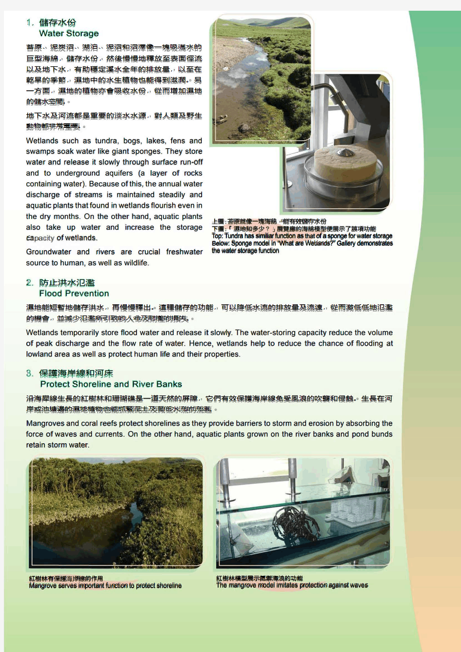 香港湿地公园讲解文档---湿地的功用