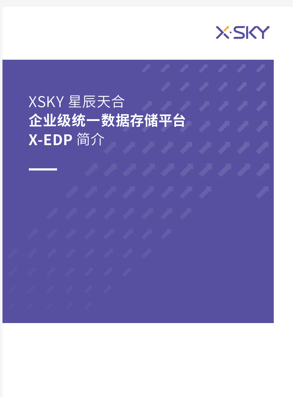 X-EDP企业级统一数据存储平台170615