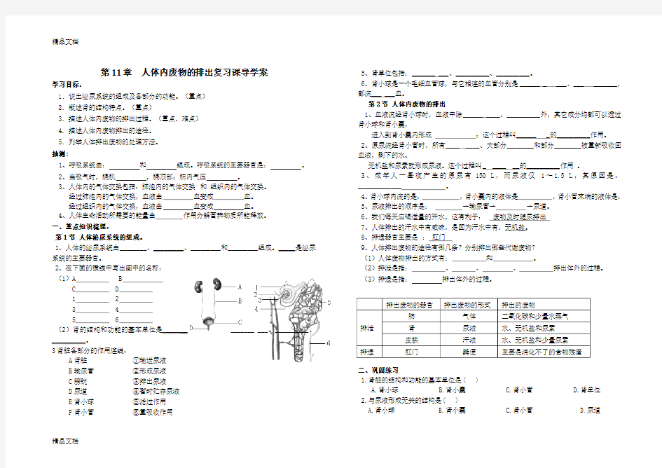 最新泌尿系统复习题