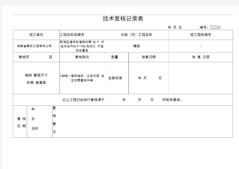 技术复核记录表(模板)