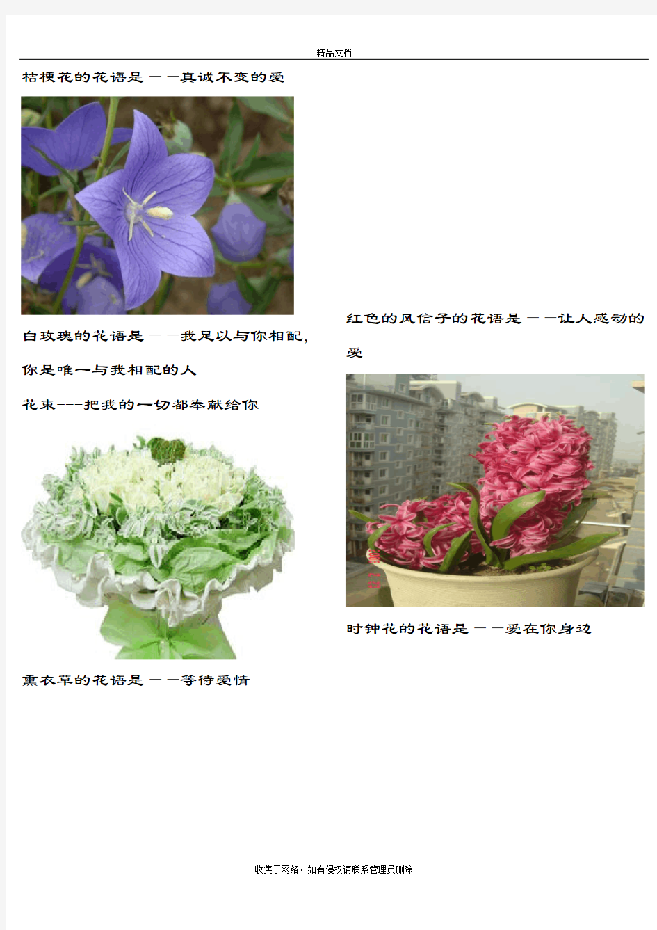 常见鲜花花语(含图片)知识讲解