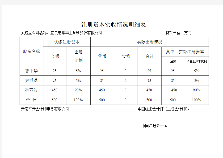 注册资本实收情况明细表