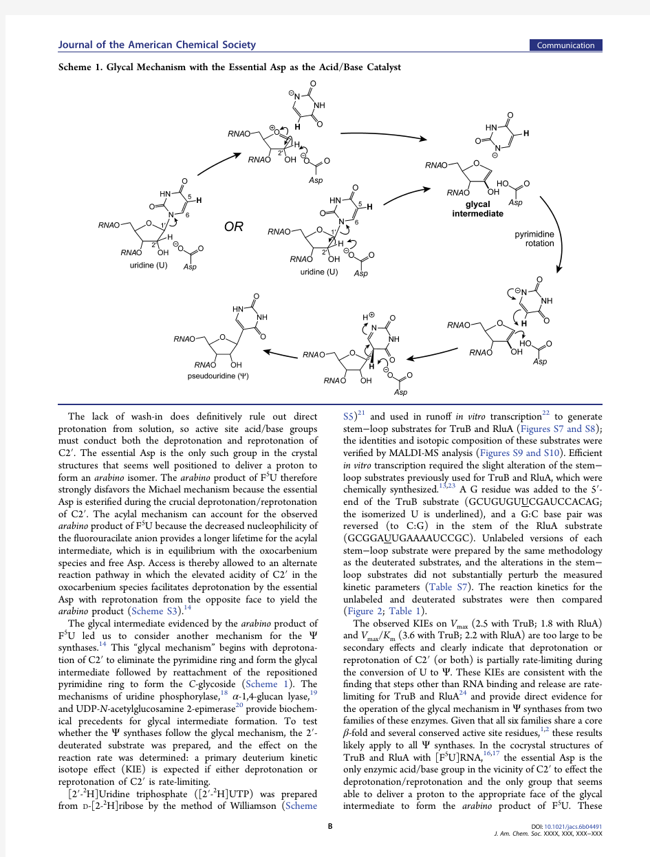 假尿苷合酶的催化机理