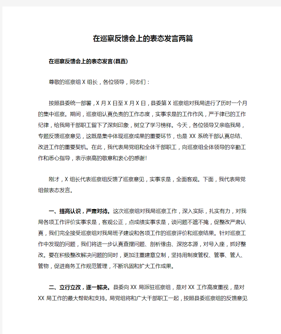 在巡察反馈会上的表态发言两篇