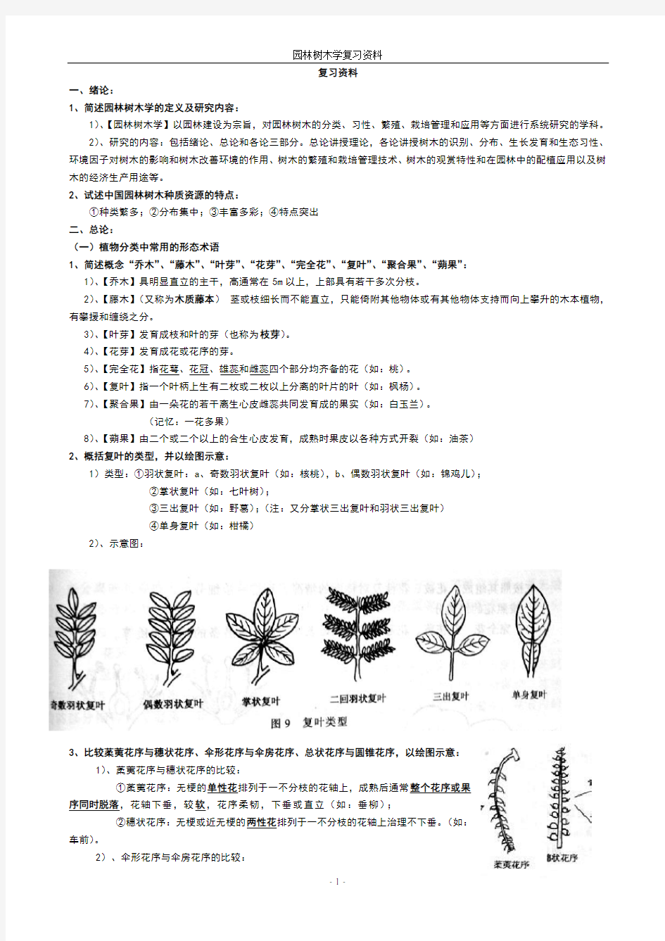 树木学知识整理全解