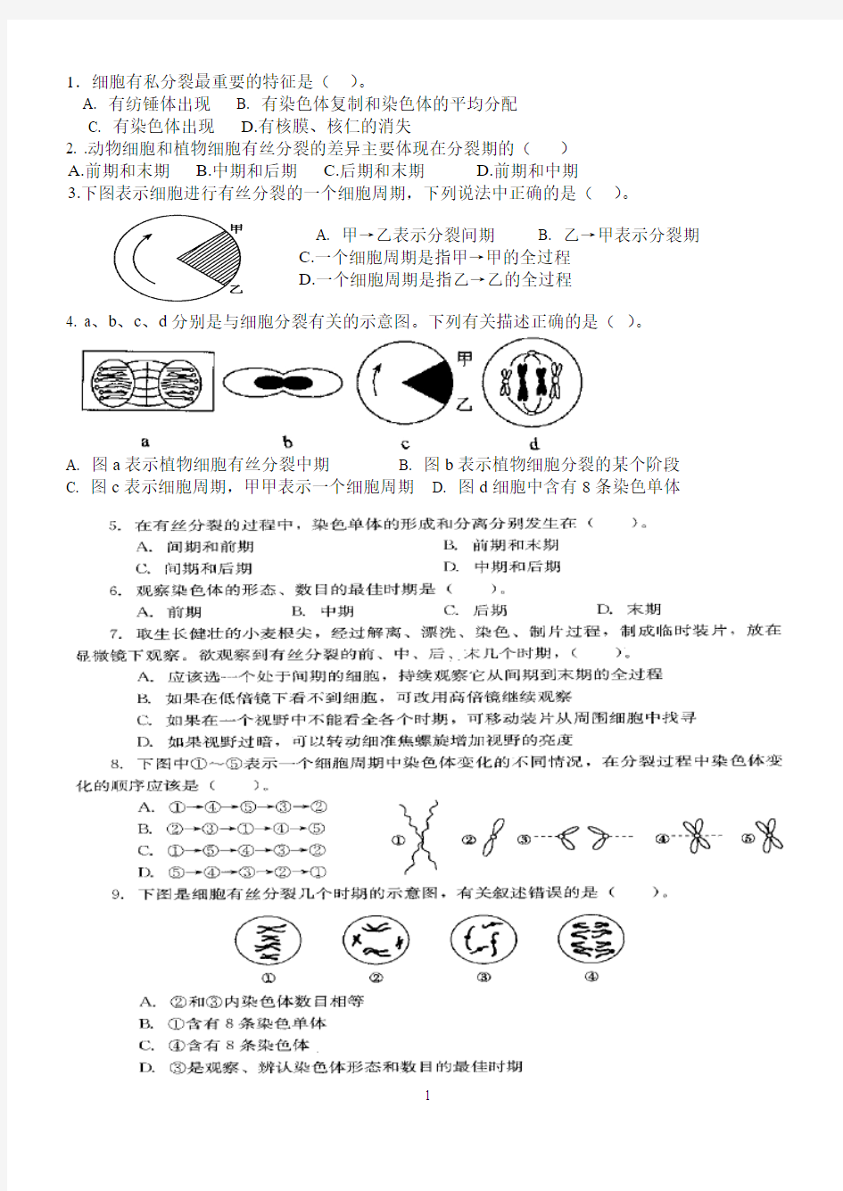 细胞分裂综合题