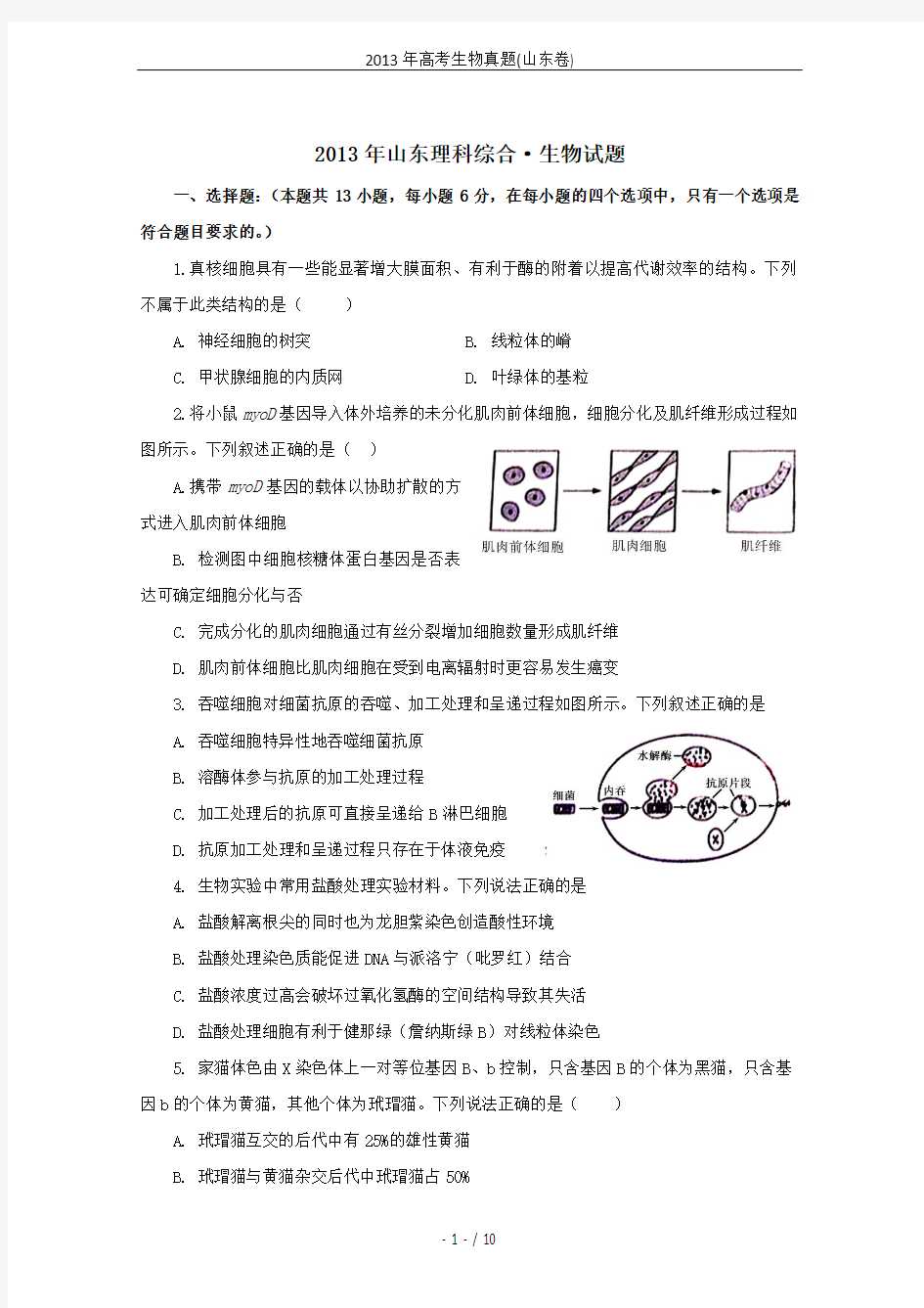 2013年高考生物真题(山东卷)