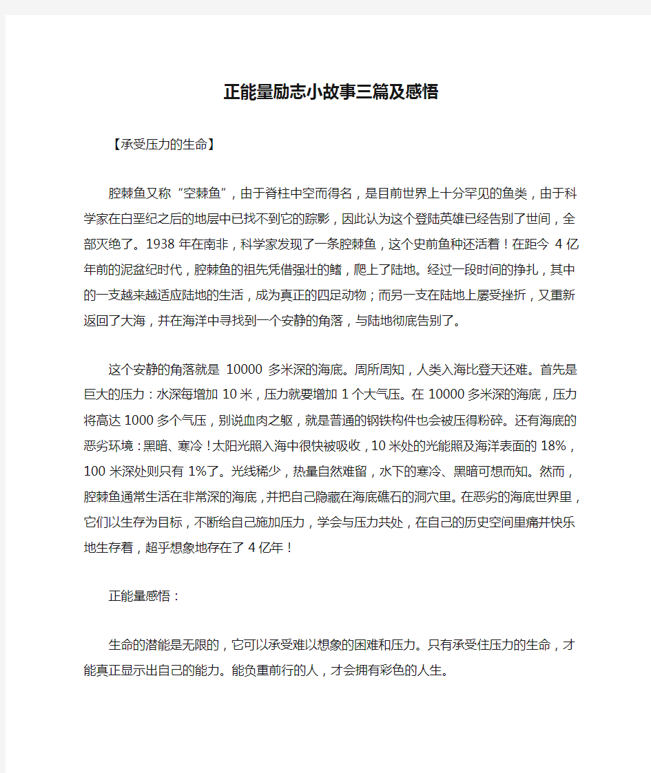 正能量励志小故事三篇及感悟