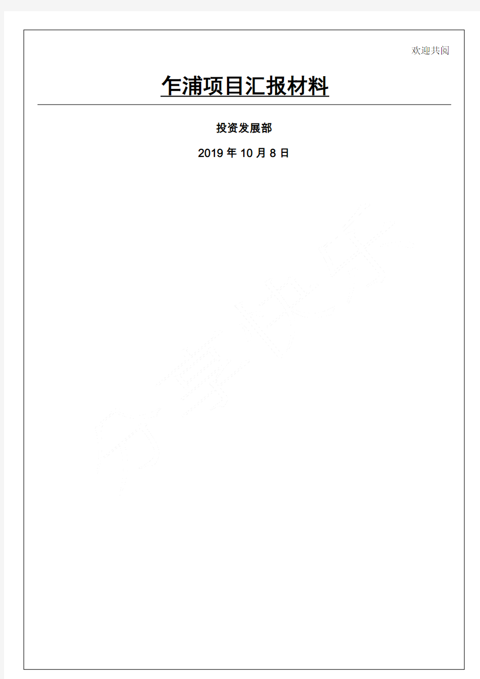 投资项目可行性分析项目汇报材料