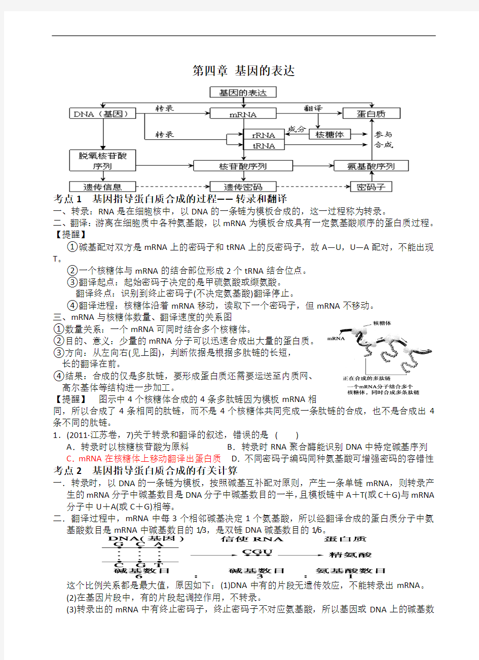 第四章--基因的表达