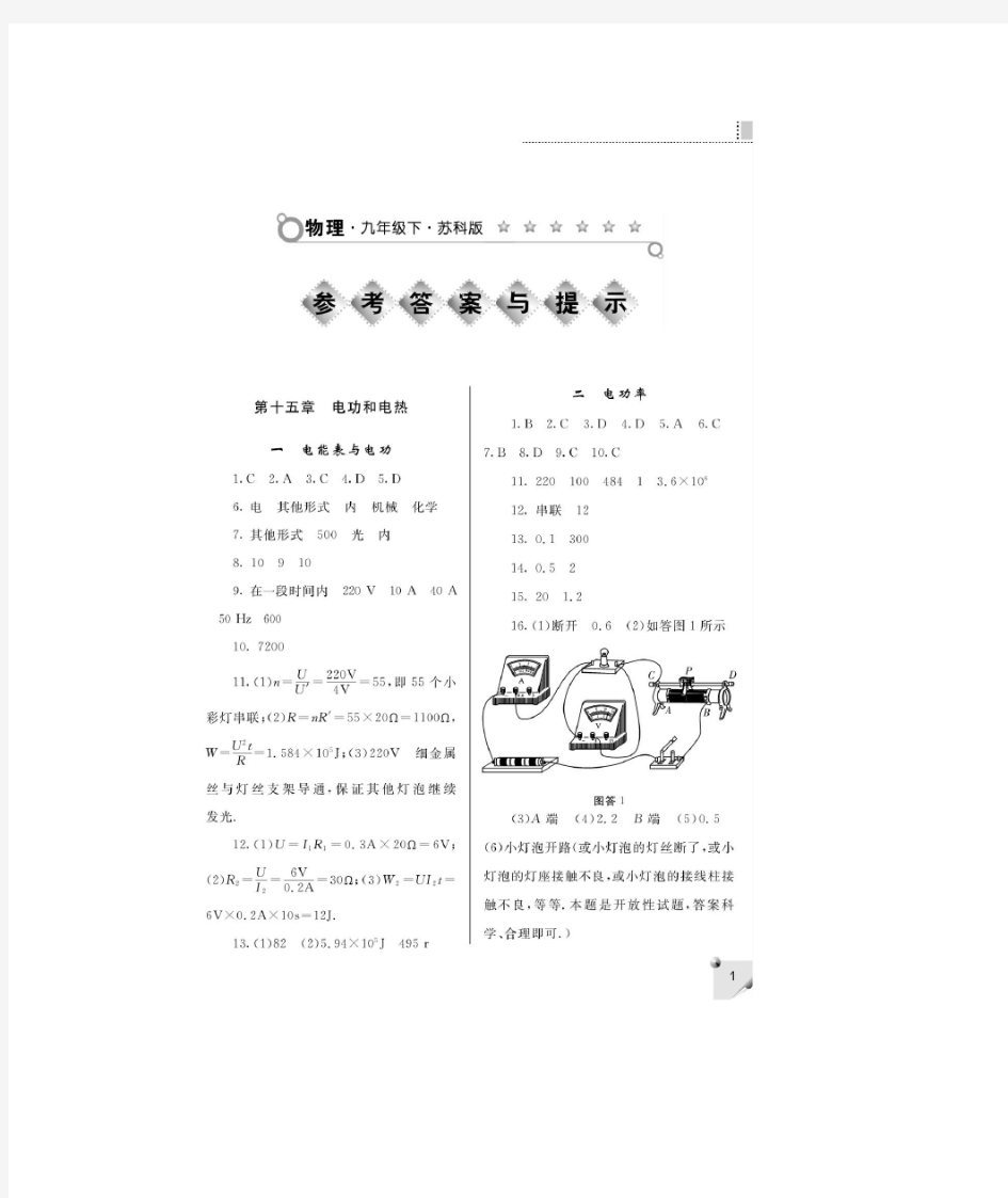 苏科版九年级下册物理练习册答案