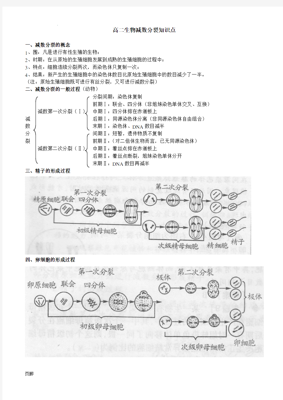 减数分裂知识点总结