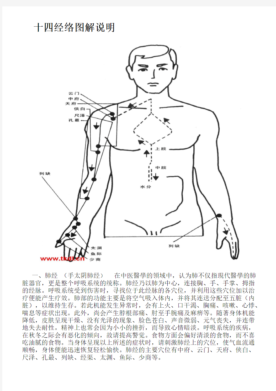 十四经络图解说明