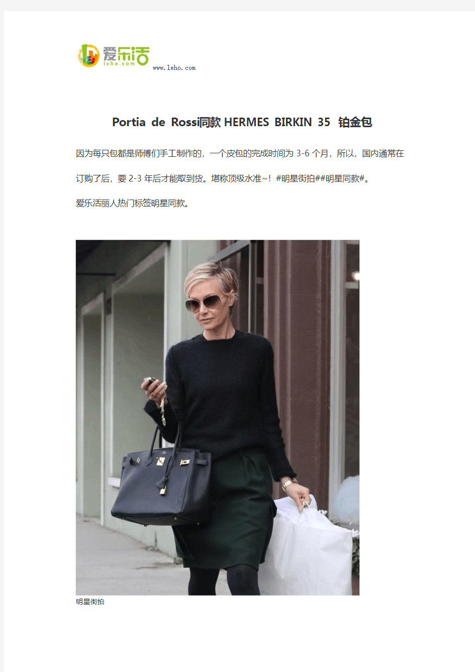 Portia de Rossi同款HERMES BIRKIN 35 铂金包