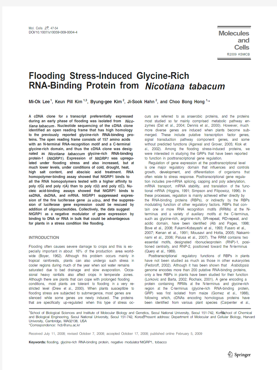 Flooding Stress-Induced Glycine-Rich