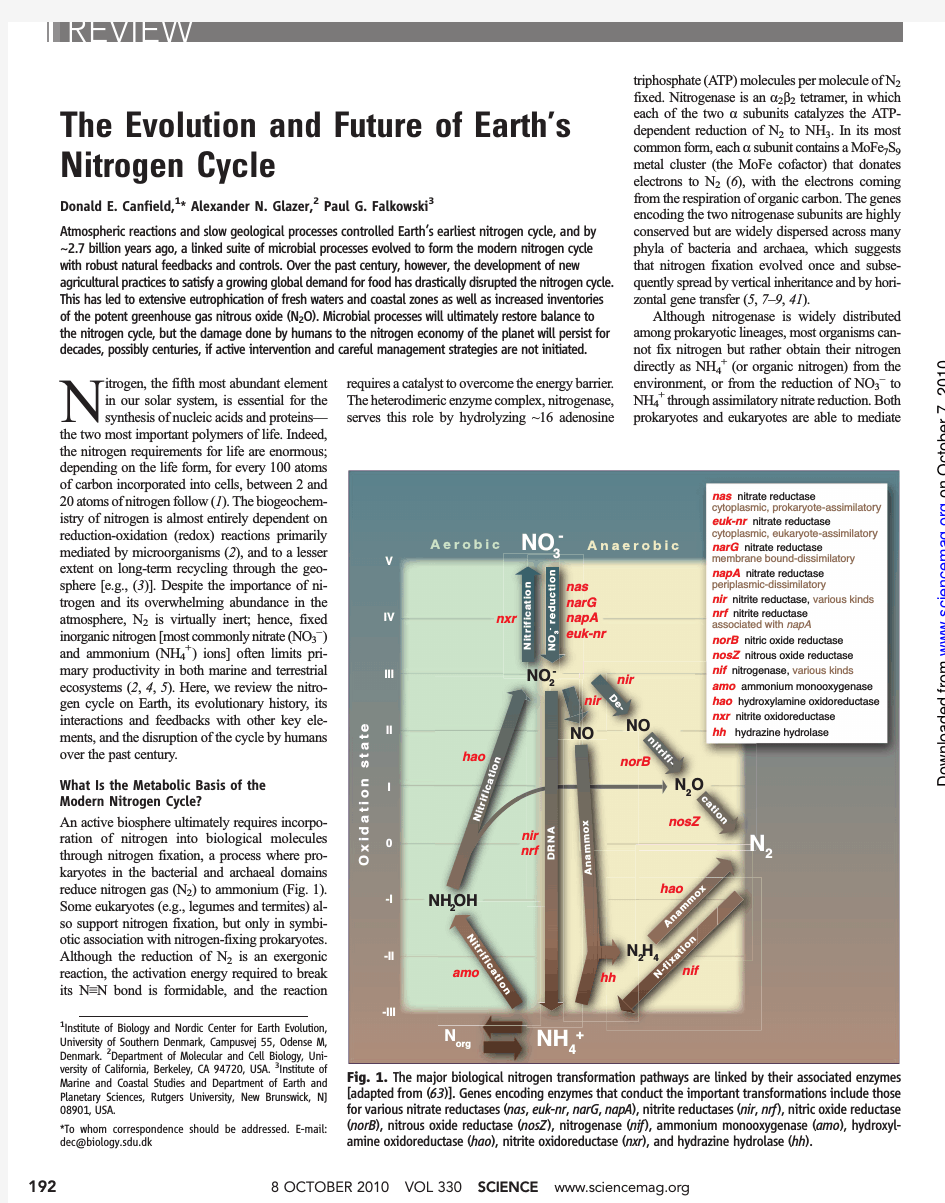The Evolution and Future of Earth's Nitrogen Cycle