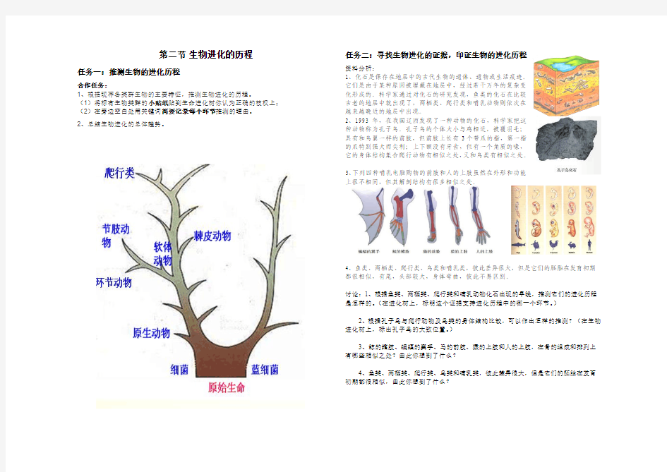 生物进化的历程(终)导学案