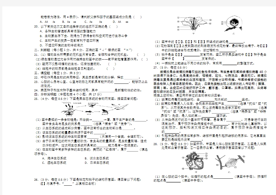 2017年生物中考试卷及答案