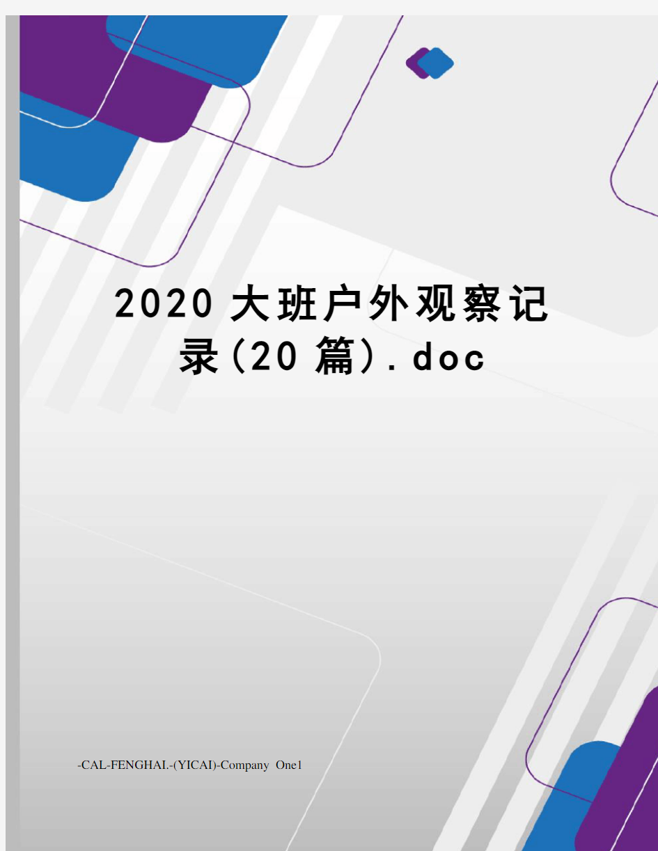 2020大班户外观察记录(20篇).doc