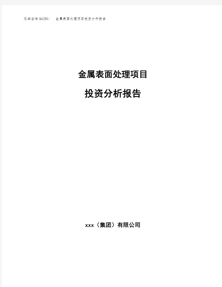 金属表面处理项目投资分析报告