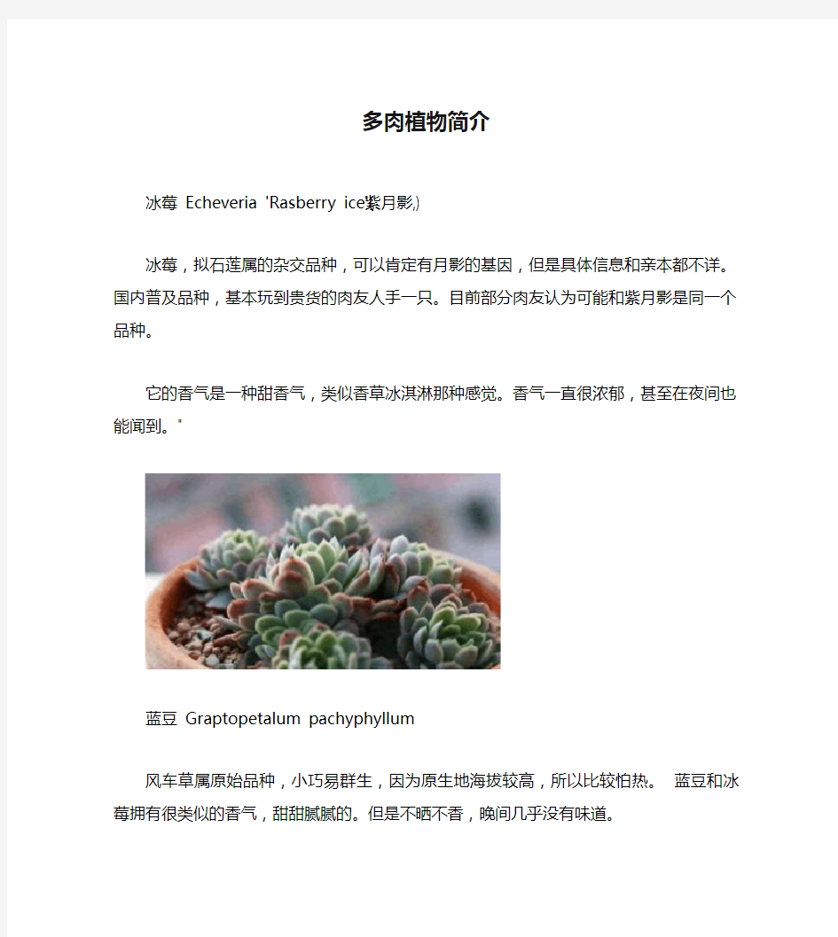 多肉植物简介