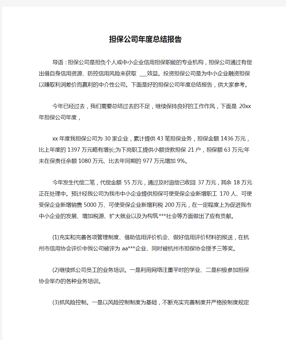 担保公司年度总结报告